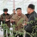 종합농장 이미지