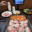 돼지한마리 이미지