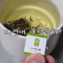 자연애 | 자연애 몸에 좋은 야관문차 티백 후기