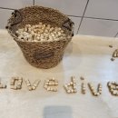 마린슐레 이미지