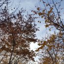 송정제방길 이미지