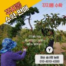 숲사랑농원 이미지
