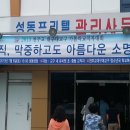 안강 샛별유치원 이미지