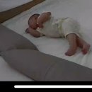 꼬미드림 이미지