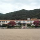 영남초교 이미지