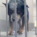 마! 주인 이미지