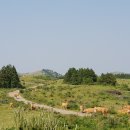 황소야 - 강서구 마곡중앙로 161-11 | 황소야