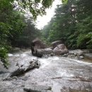 산울림트래킹