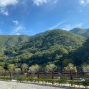 부여(외산)-1 이미지