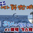 19일간의 캐나다 동부여행 4, 5일차, Forillon National Park, Gaspe, Quebec 이미지