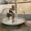 오마이인 | 일산 디저트카페 오마이스위츠-케이크 버터떡 에그타르트 맛집 솔직후기