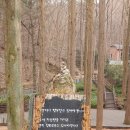 힐링(장태산) 이미지