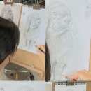 선과 명암의 이야기, 소묘 네이버블로그