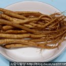 인삼오리