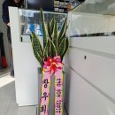조은꽃식물원 이미지