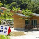 좌구산자연휴양림 이미지