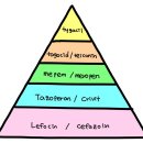 아포종합의원 | 9#VRE,매독,항바이러스제,항생제,결핵,무좀,항암제,기생충