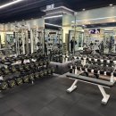 부평 프리웨이트 헬스 PT 이미지