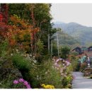 신수펜션 이미지