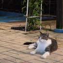 대이리 | [25.08] 화천 펜션베베(춘천여행)｜내돈내산 후기(동영상ㅇ)