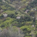 하운농장 이미지