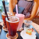 몽보드레 이미지