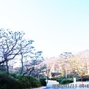 반도보라빌리지산책로 이미지