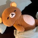 5-6월 일상 :: 소식 다이어트 (염병)시작◜. ̫.◝꜆ 투표하고 서울 상경하고 공부하는 고시생이옵니다