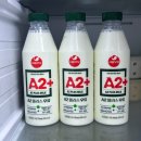 신선목장 | A2 전용 목장에서 착유한 맛있고 신선한 서울우유 A2+ 후기
