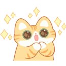 속초삼성동물메디컬센터 이미지