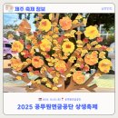 대륜동 공무원 연금공단 | [제주축제후기] 2025년 공무원연금공단 상생축제