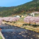 소나무풍경펜션 - 창녕군 계성화왕산로 161 | 소나무풍경펜션