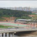 인라인경기장 이미지