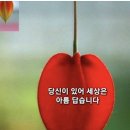 당신있어좋은세상 이미지