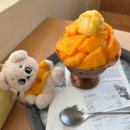 신흥축산 | 7월 넷째주 일상 혼자서도 참 잘해요~