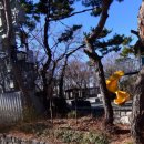 신현대마트 이미지