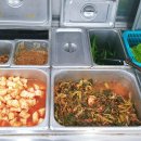 제미니국수 티스토리