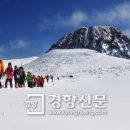 제주명품마을 이미지