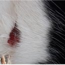 윤형농장 이미지