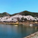 양지저수지 이미지