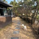 남해펜션라온 | [남해 한옥 독채펜션] 히노끼탕 자쿠지가 달린 프라이빗 풀빌라 애견동반 펜션 내돈내산 후기