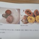 경림한의원 이미지