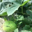 백자농장 이미지