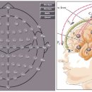 뇌파(EEG, Electroencephalogram) 개요 이미지