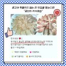 까치광고 이미지