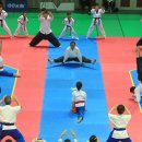 세계국선도연맹 | 국선도와 태권도 콜라보레이선 공연을 마치고