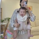 시원하고 허리 편한 베베스완 조끼 아기띠 후기 (신생아아기띠 출산선물 추천)