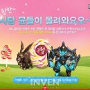 스피드PC존 이미지