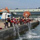 하동물양장 이미지