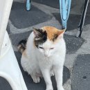가본가든